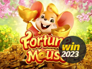 WIN 2023 login — configurações de segurança e proteção de conta